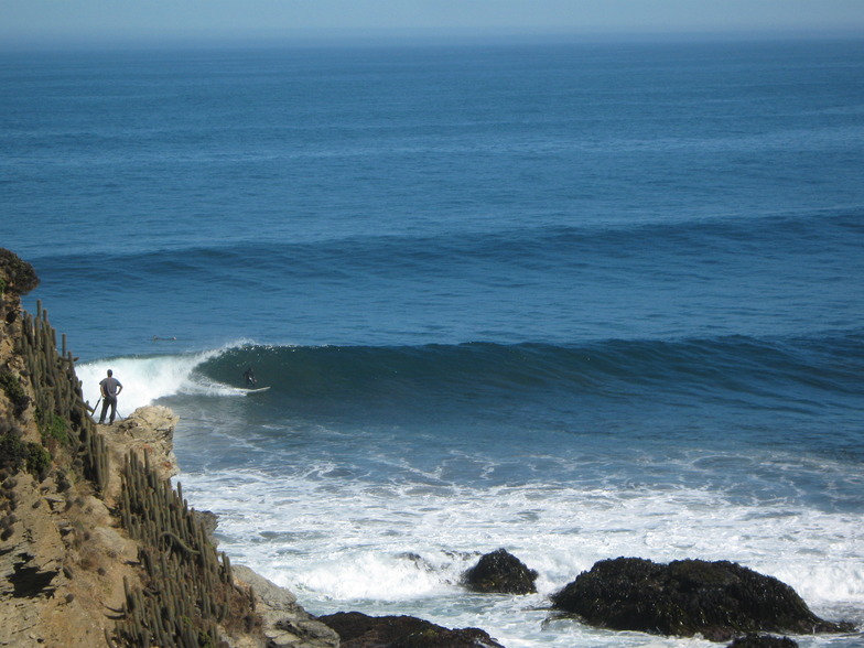 El Mirador section at Punta de Lobos