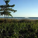 Playa Negra