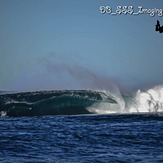 Smoking Tube, Shark Island (Cronulla)