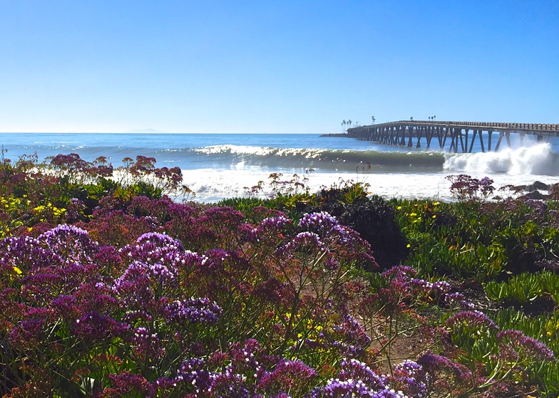 Purple Pipes, Little Rincon