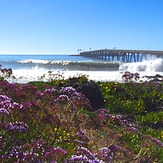 Purple Pipes, Little Rincon