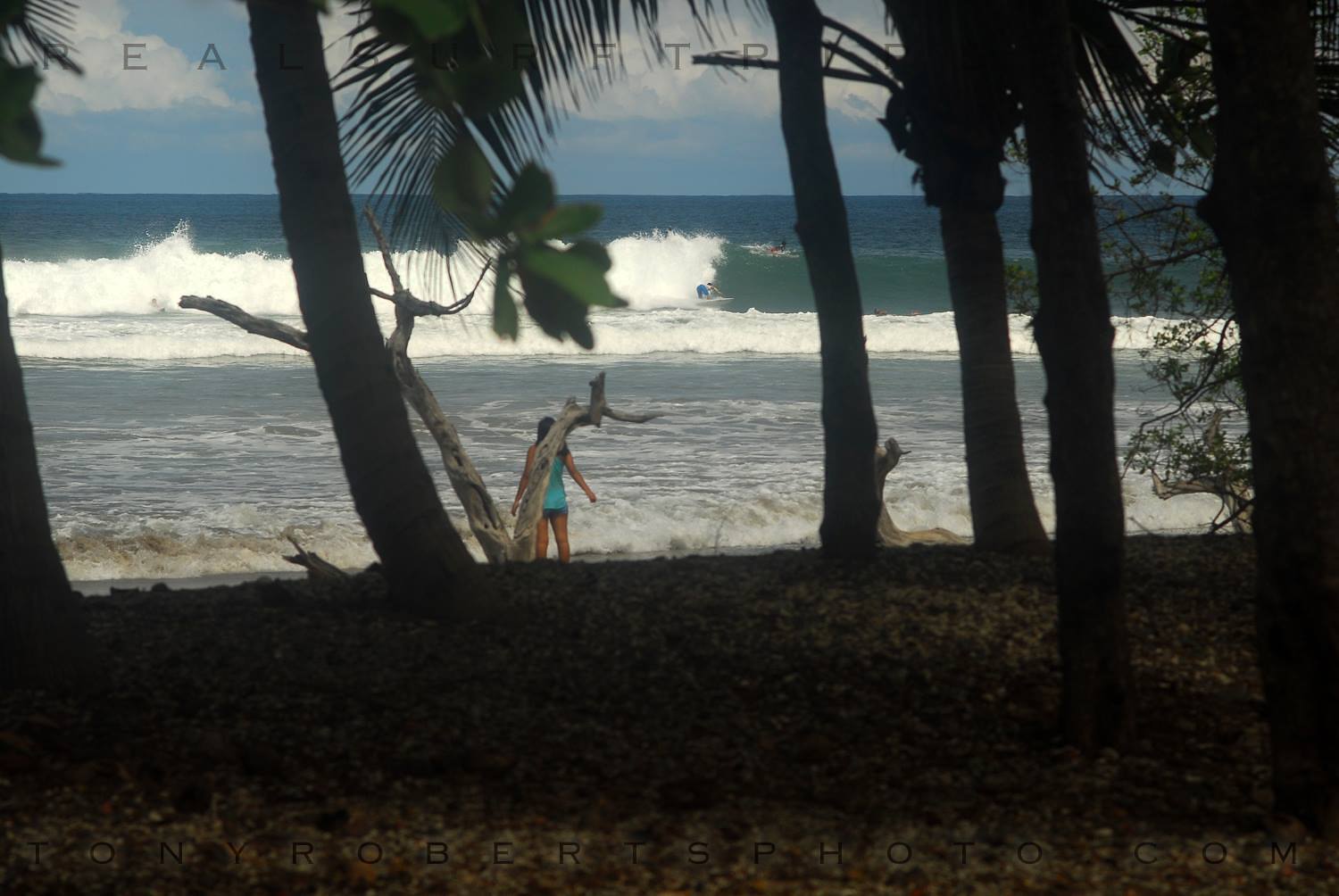 Jungle Juice, Playa Negra