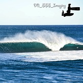 The Perfect Monster, Shark Island (Cronulla)