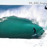 Mark Matthews Taming the Beast, Cronulla