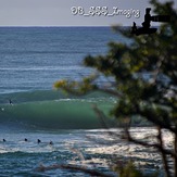 Shark Island, Shark Island (Cronulla)