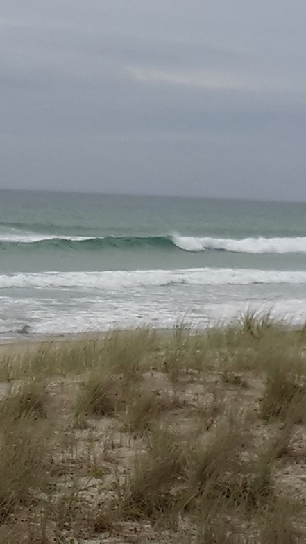 Forestry surf break