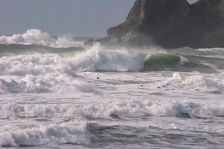 winter, Oswald State Park/Short Sands
