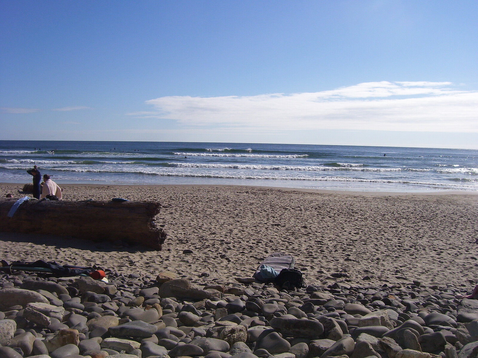 summer, Oswald State Park/Short Sands