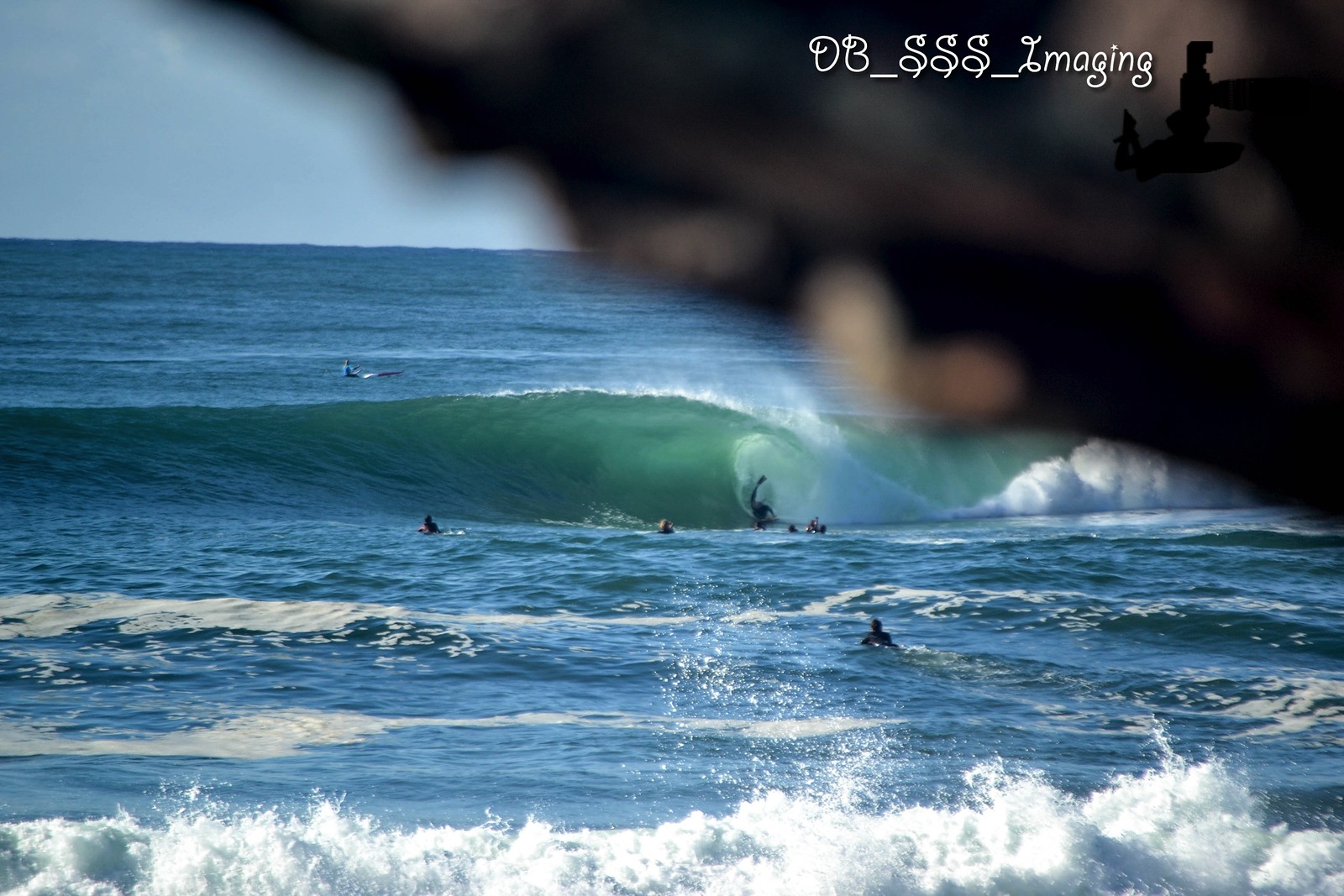 Shark Island Gem, Shark Island (Cronulla)