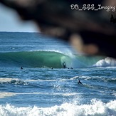 Shark Island Gem, Shark Island (Cronulla)