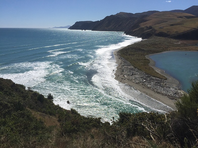 High tide at Whangamoa