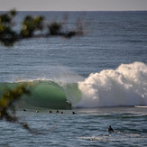 Yes there is a guy in there, Shark Island (Cronulla)