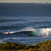 Kip Caddy, Cronulla