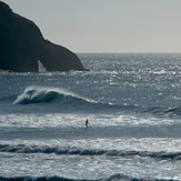 Early arrivals from Cyclone Pam, Wharariki Beach