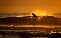 Port long boarder at sunrise, Port Macquarie-Town Beach photo