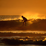 Port long boarder at sunrise, Port Macquarie-Town Beach