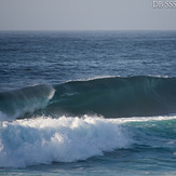 Form at Suck, Cronulla