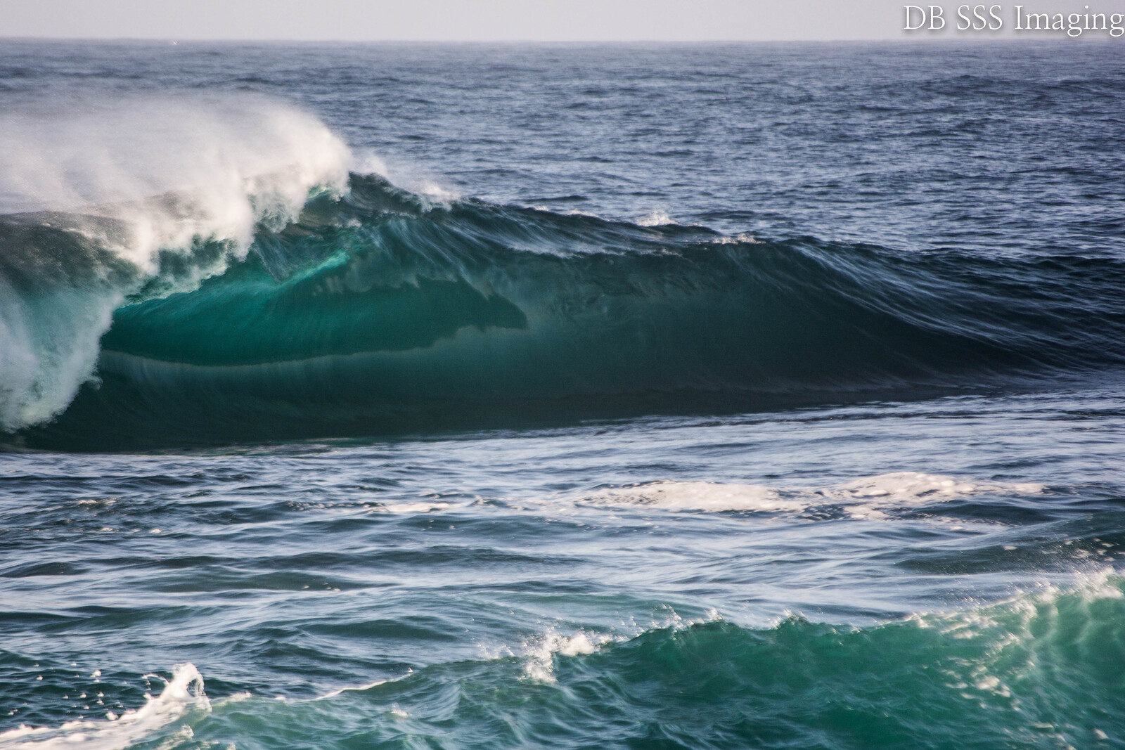 The Heavy Greenery, Cronulla
