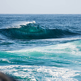 Form in the rough, Cronulla