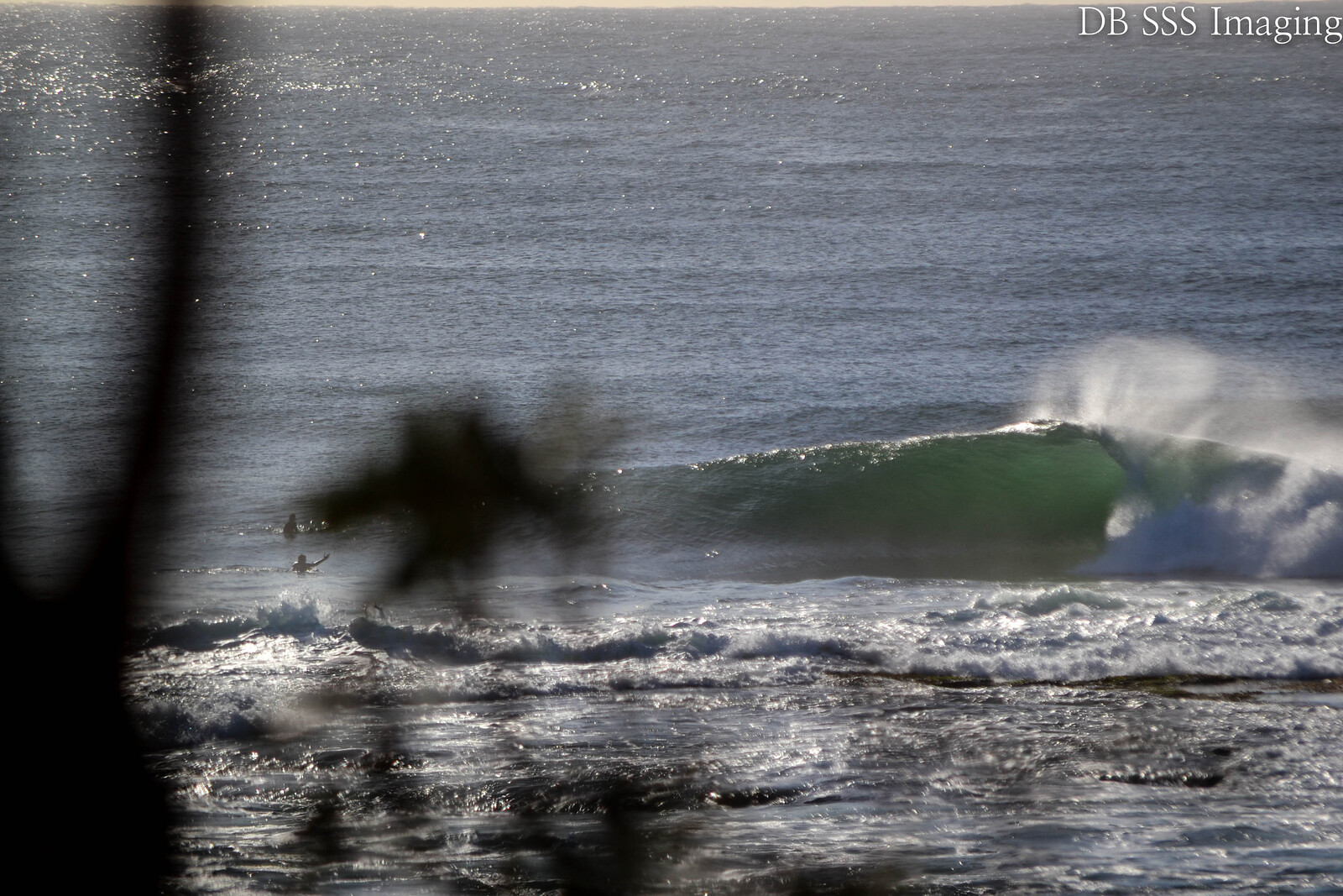 Shark Island Gem, Cronulla