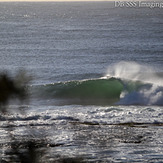 Shark Island Gem, Cronulla