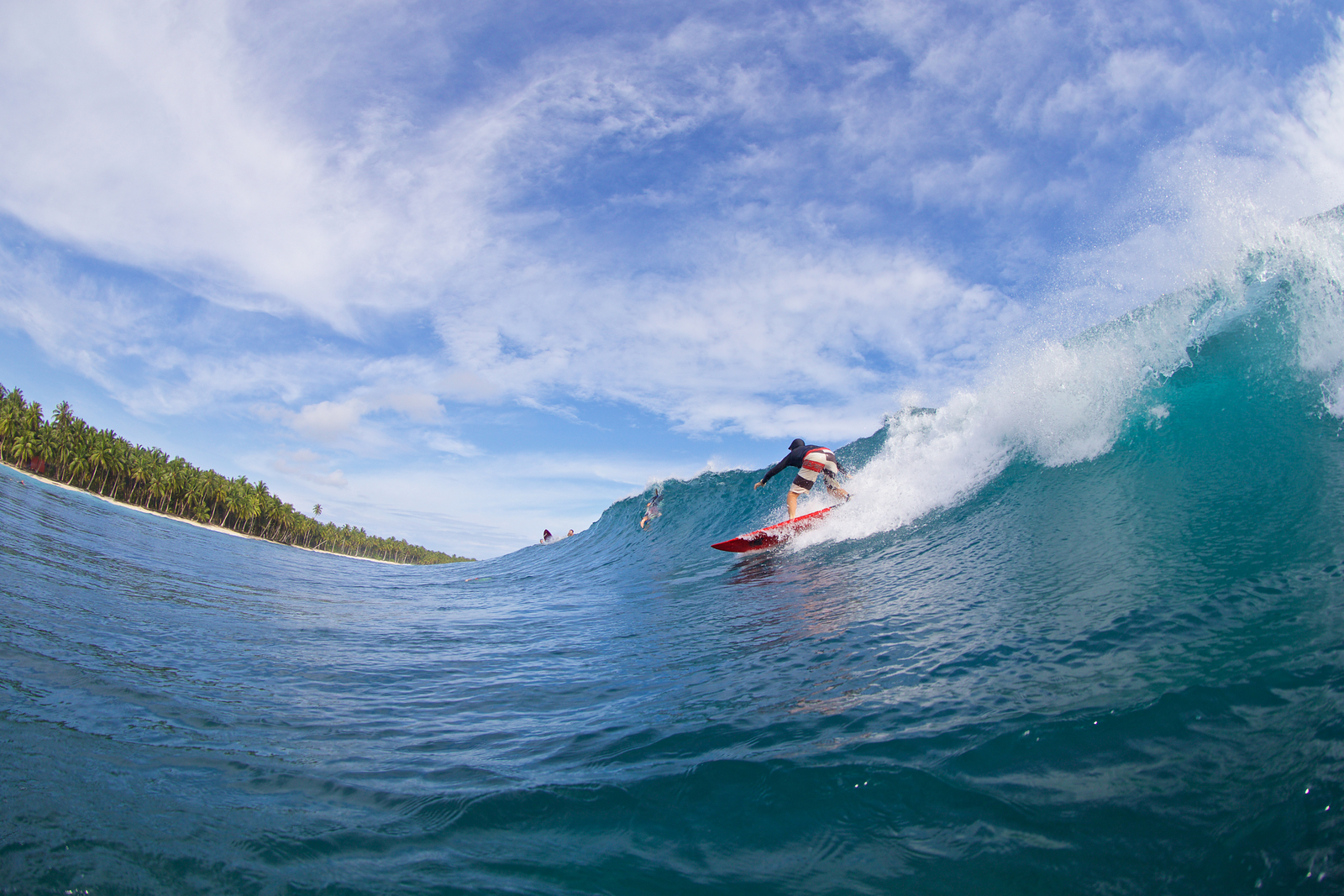 Nipussi (Nyang-Nyang)