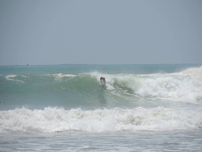 Galle Wave Company, Dewata