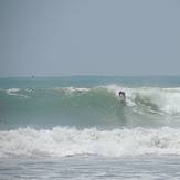 Galle Wave Company, Dewata