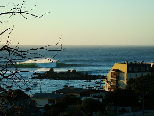 antonio barrera, Algarrobo