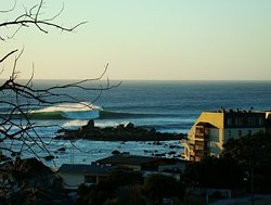 antonio barrera, Algarrobo photo
