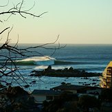 antonio barrera, Algarrobo