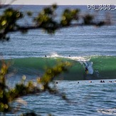 Tsunami Wall, Shark Island (Cronulla)