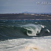 Stormy Eye, Cronulla