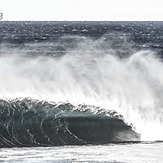 Devils Whip, Shark Island (Cronulla)