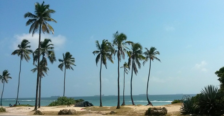 Coco Beach so serene.., Oyster Bay Beach - Coco Beach