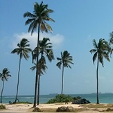 Coco Beach so serene.., Oyster Bay Beach - Coco Beach