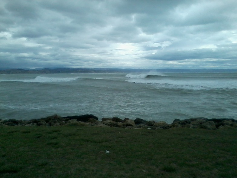 westhore reef  after pam