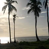 surf's up, Oyster Bay Beach - Coco Beach