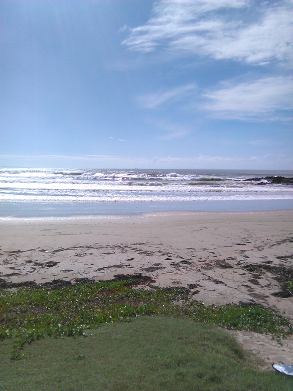 Woolgoolga surf break