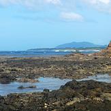 Vibrant, Playa Negra