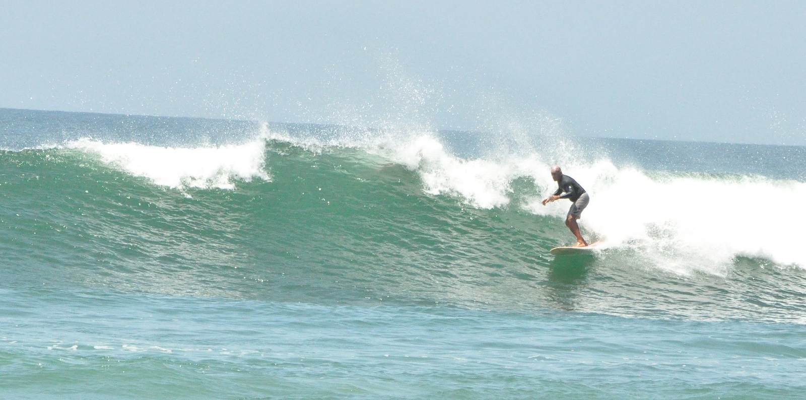 Great weekend for Surf!, Burros