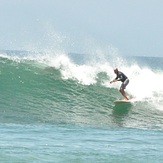 Great weekend for Surf!, Burros
