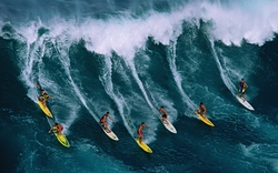 Surfs Up!, Blonde Reef photo