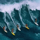 Surfs Up!, Blonde Reef