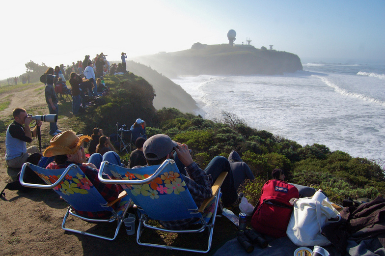 Mavericks Surf Contest