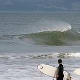 watching, The Wedge