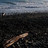 Offshore short period swell, Schnappers Point