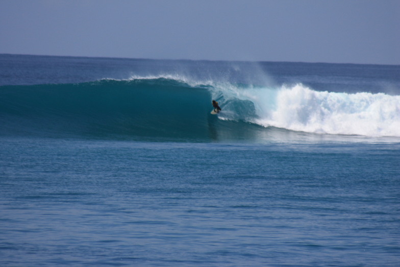 Blue Bowls