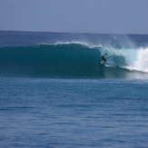 Blue Bowls