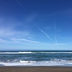 Bowling Ball Beach Tide Chart